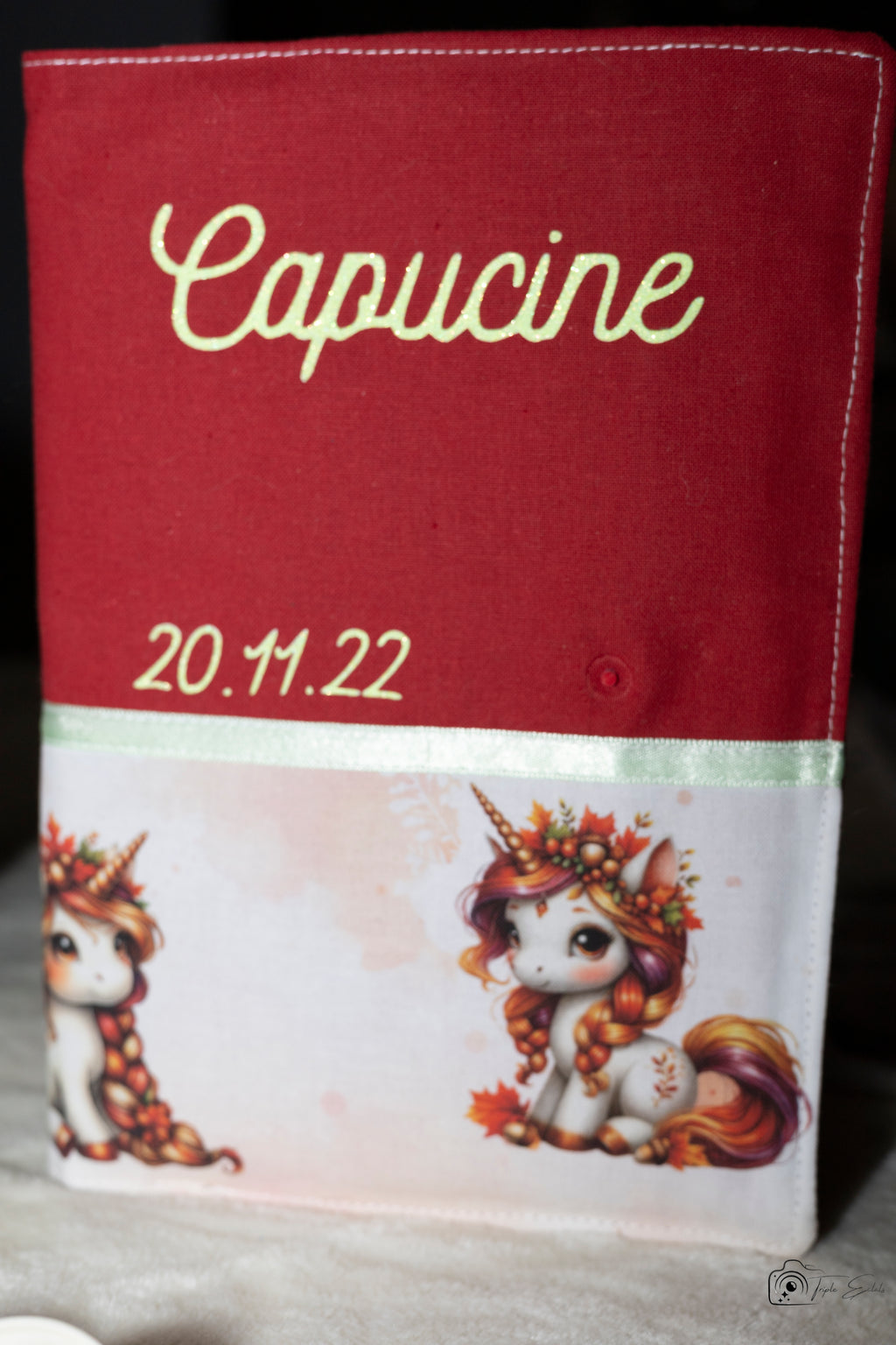 Protege carnet de santé